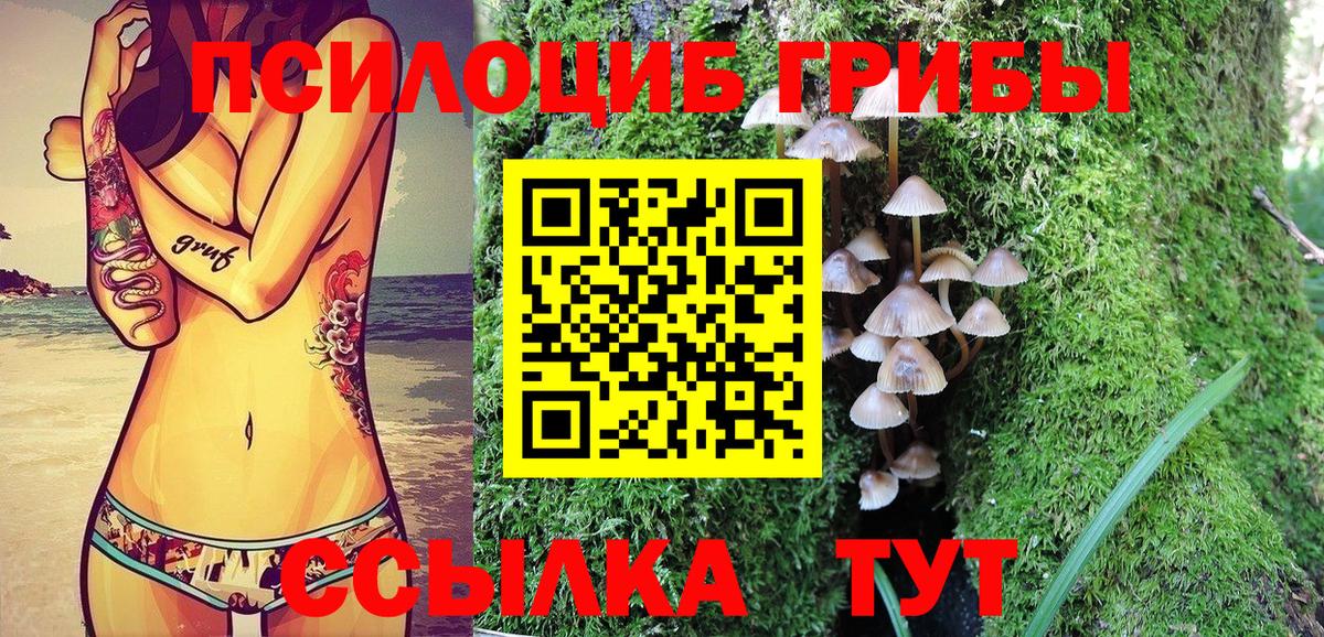 Кирово-Чепецк  Галлюциногенные грибы мицелий  что такое   Вход с VPN 